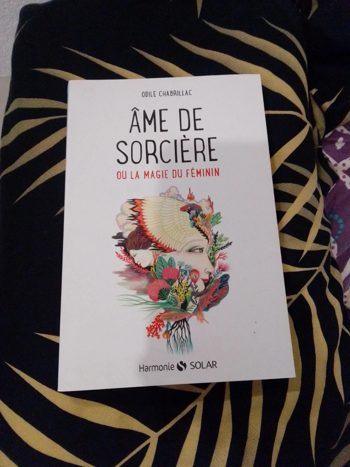 Ame de sorcière ou la magie du féminin